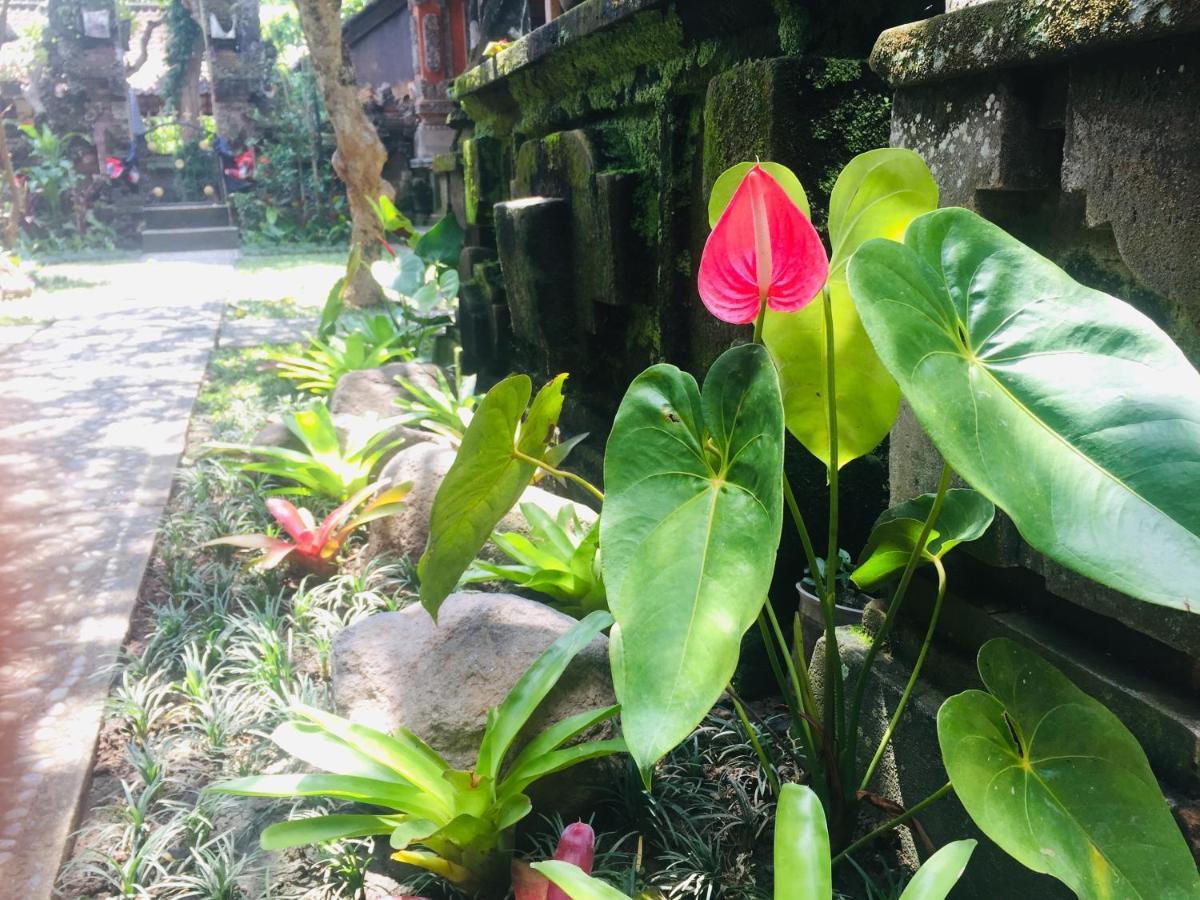 Tungeh Inn Ubud Dış mekan fotoğraf