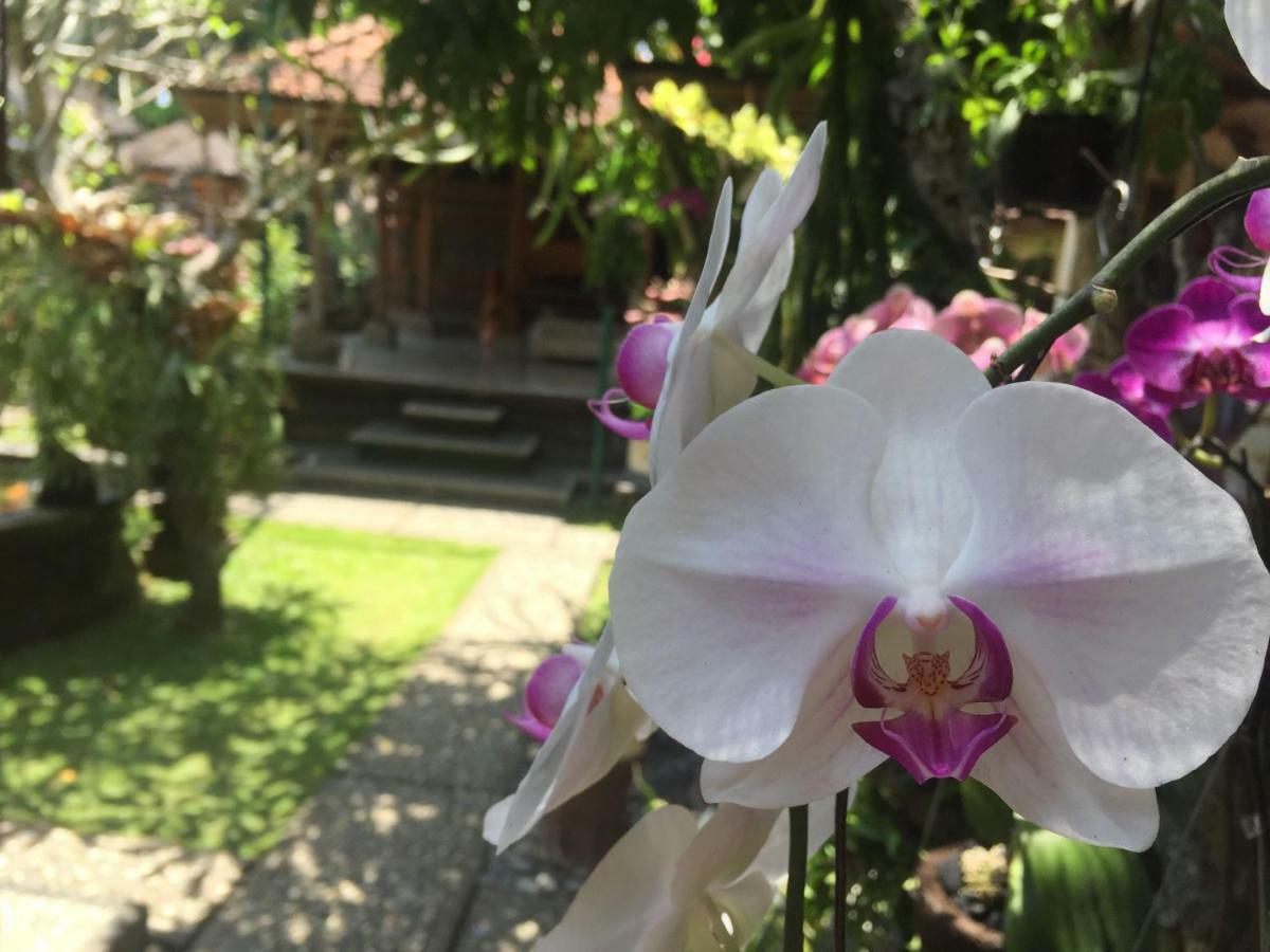 Tungeh Inn Ubud Dış mekan fotoğraf
